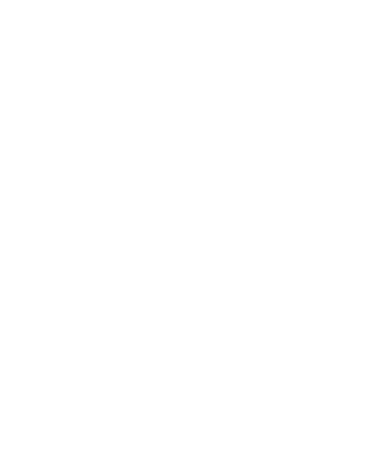 Logo Boundless